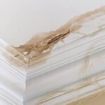 Water and Leak Damage Restoration